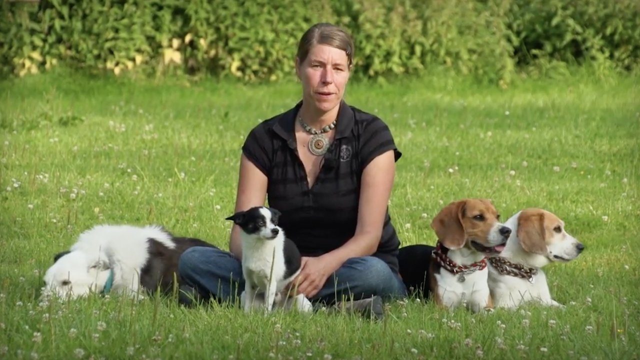 Imagefilm Tierärztin Sophie Strodtbeck sitzt mit zwei Hunden auf einer Wiese